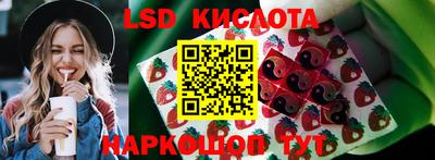 прущие грибы Наро-Фоминск