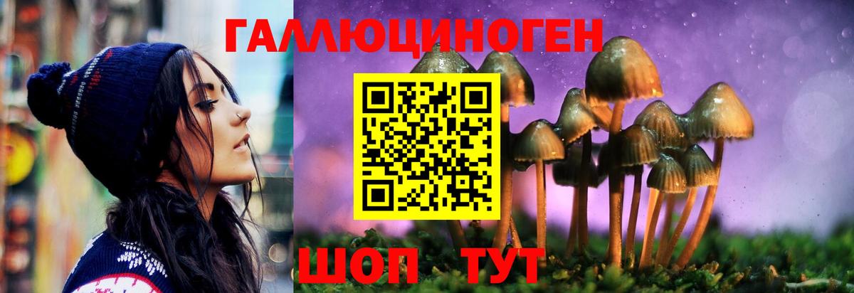 Псилоцибиновые грибы мухоморы  магазин  наркотиков  Уварово  Вход с VPN 